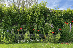 Kloostertuin-Minicamping-Zoutelande-Zeeland-Werendijke-21