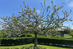 Camping Werendijke Zeeland - Flessingue visuel 37/230