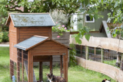 Mini-Campingplatz Werendijke | Zoutelande - Zeeland 24