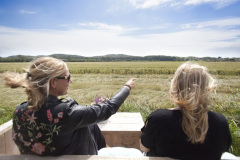 Mini-Campingplatz Werendijke | Zoutelande - Zeeland 30